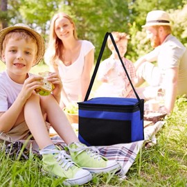 Outdoor Picnic Bag Ice Pack Foldable Aluminum Foil Picnic Camping Party Multifunctional Portable Lunch Insulated Bag Emergency Kit for Women (D, One Size)