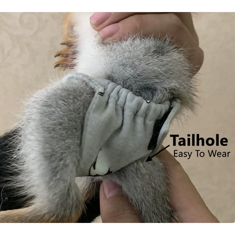 FORZENA Reusable Washable Squirrel Diapers Highly Absorbent with Strong &