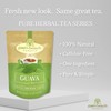 Palm Beach Medicinal Herbs - Guava Leaf Tea - Pure