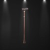 cane elderly medical elderly grandmother Senior welfare products 2ea