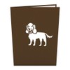 Lovepop Dog House Pop-Up 3-D Greeting Card