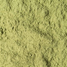 Wheatgrass Organic 500 g - Wheatgrass Powder - Young Wheatgrass Powder from Germany - Bottled in Germany - Finest Taste - Biotiva