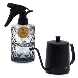 OFFIDIX Watering Can for Indoor Plants,Long Spout Metal Stainless Steel 21 oz Watering Can with 14 oz Glass Plant Mister Spray Bottle for Plant Bonsai