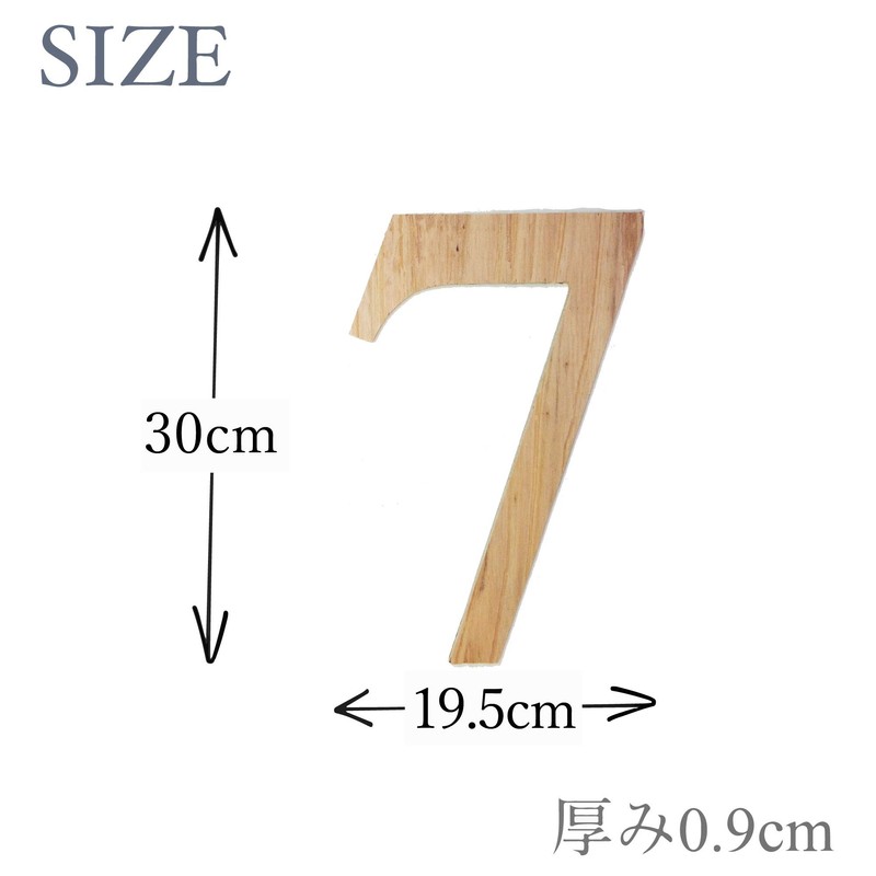 Oversized Alphabet Object, Large (30cm) (7)