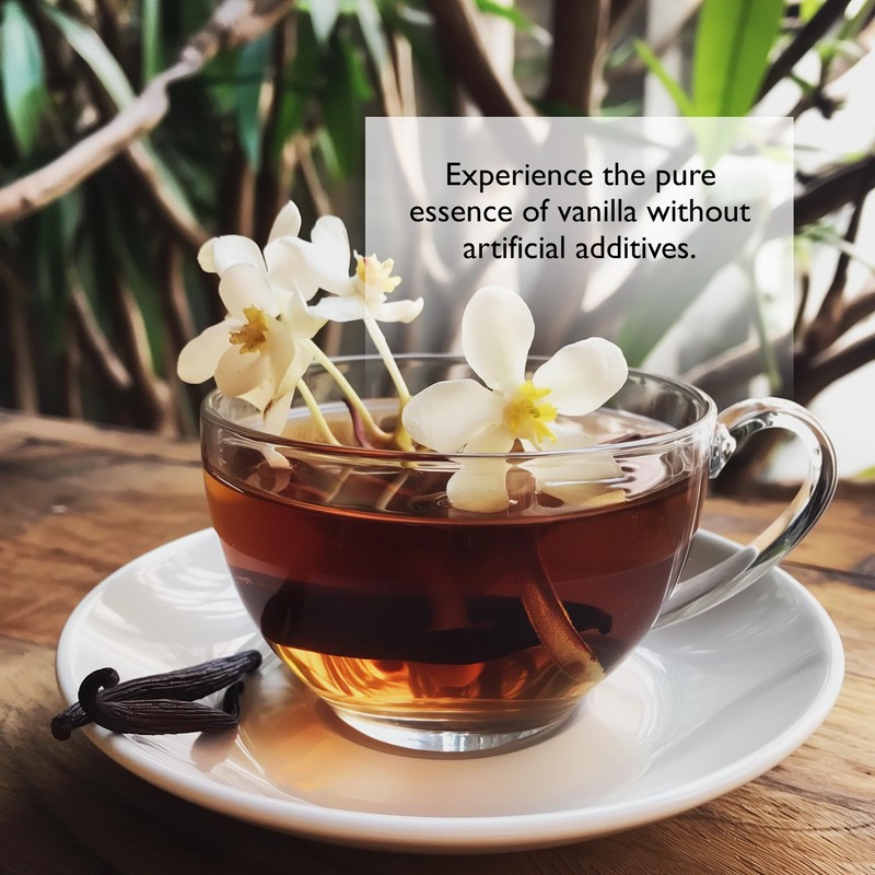 Dragonfly Rooibos Vanilla Tea Bags, Caffeine-Free Bourbon Flavoured Tea, Individually