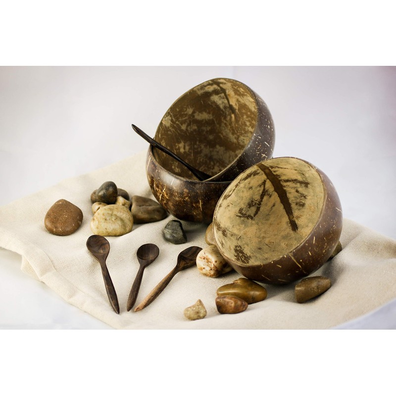 VIE Gourmet Coconut Bowls and Spoons, Set of 4