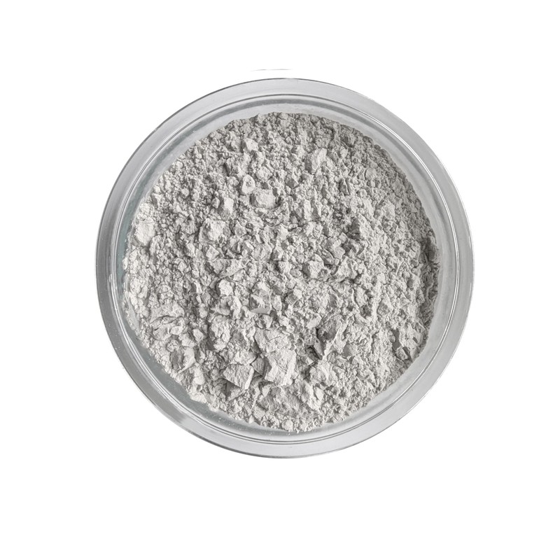 1 Pound Calcium Carbonate Limestone Powder by The Seed Supply