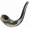 Ultimate Judaica Kosher Shofar Ram's Horns - Shofar Size 1-9.5"