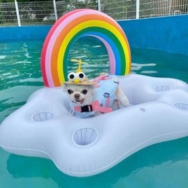Rainbow Cloud Dog Pool Float with Cup Holder Ring lf7 Rainbow Umbrella + 95x55x55 5ea