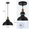 Battery Operated Pendant Lights,Rechargeable Pendant Light with Remote,Black Gold Pendant