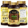 Alfalfa Extract, Vitamins, Minerals, Chlorophyll Antioxidant Green Superfood