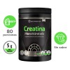 HEALTHADDICTION - Creatina Monohidratada En Polvo De Alta Pureza - 80 Porciones - Preworkout Pre Entrenamiento - Sabor Natural - Disuelve rápido - Scoop Dosificador - Creatine Monohydrate - Gym 400g