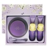 The Face Shop Yehwadam Hwansaenggo Boyun Cream 50ml Special Set_B