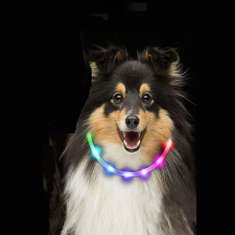 Leeko Dog Collar, Luminous LED Light, Fluorescent, Safety Collar, USB