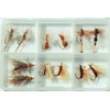 Fly Shop Complete Fly Set SD Selection Dry Fly Iwana