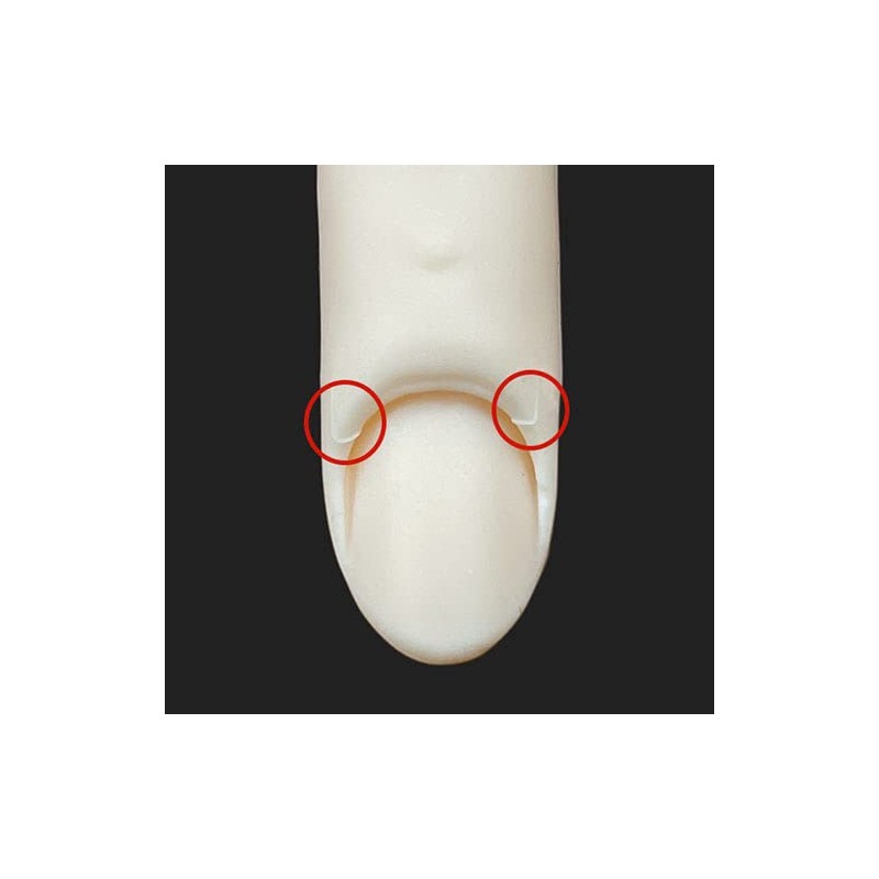 ST Model Hand Right Hand (JNEC 1st Certified Model Hand)