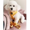 Sunshine Daisy Dog Harness S