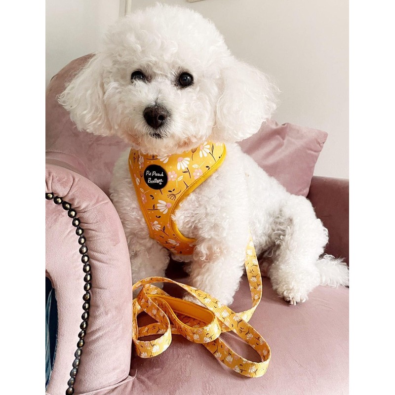 Sunshine Daisy Dog Harness S