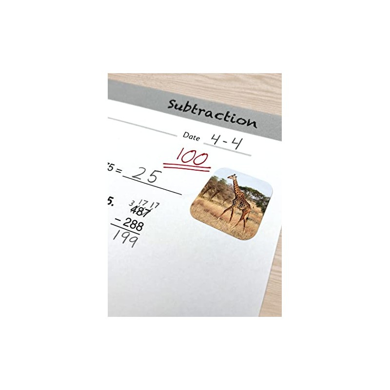 Teacher Created Resources Safari Animals Stickers