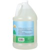 Ginger Lily Farms Botanicals Plant-Based 4-In-1 Dishwasher Rinse Aid, 100%