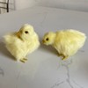 Pack of 2 Realistic Yellow Furry Baby Chicks Lifelike Fur