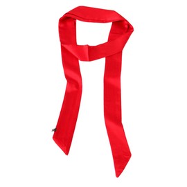 Ribbon Scarf for Women Handbag Wrap Handle Satin Belt Sash Necktie Neck Scarf PSSD01 (Red 1)