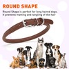 Dogline Soft and Padded Rolled Round Leather Collar for Dogs