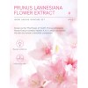 Set Cuidado Facial Sakura 6pzs Piel Radiante Rejuvenece!
