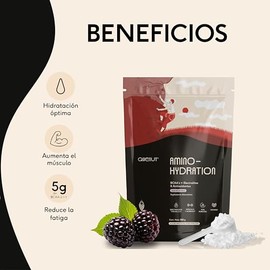 QUENUT | Aminoácidos BCAA y Electrolitos en Polvo, Amino-Hydration 500g | Sin Azúcar | Antioxidante, Hidratación, Energía Instantánea y Claridad Mental | 50 Porciones | Sabor Moras
