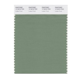 PANTONE Smart 17-0210X Color Swatch Card, Loden Frost