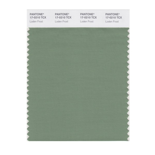 PANTONE Smart 17-0210X Color Swatch Card, Loden Frost