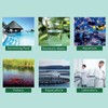 Water Quality Tester Accurate Digital Water Tester PH EC TDS