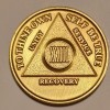 23 Year AA Bronze Medallion Sobriety Coin Recovery Alcoholics Anonymous