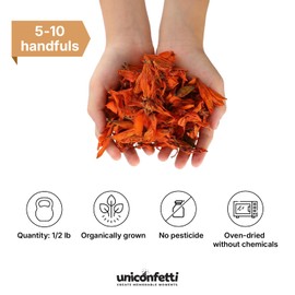 Dried Flower Yellow Lily Biodegradable Confetti - Flower Petals for Weddings, Flower Girl Toss, Wedding Send Off Ideas, Party Table Decoration | Boxed - 8oz (0.5lbs)