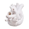 Creative Anatomical Heart Vases Resin Sculpture Heart Shaped Art Flower
