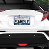 Stained Glass Hydrangea Pattern License Plate Frame - 2 Packs