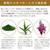 (Mystical) ebis [Vegetable Collagen 100 (10ml )】【 ekuserentobaio EX100 10ml] Popular Set