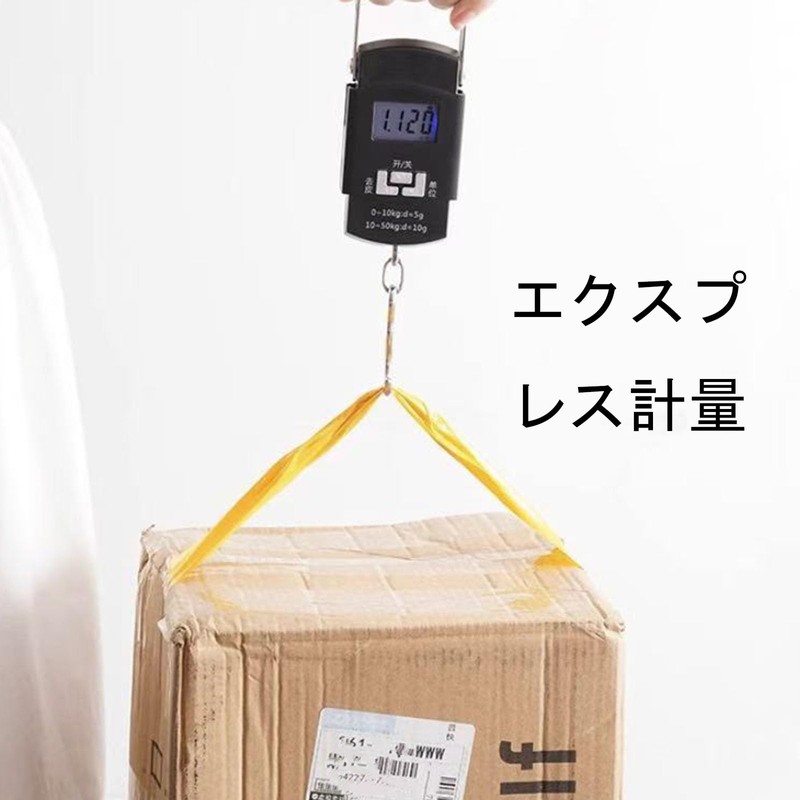 Luggage Scale, Up to 110 lbs (50 kg), Drag Checker