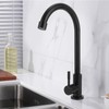 G1/2 Faucet 90 Degree Rotating Single Cold Matte Black Water