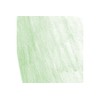 Derwent 1400 Inktense Block - Apple Green