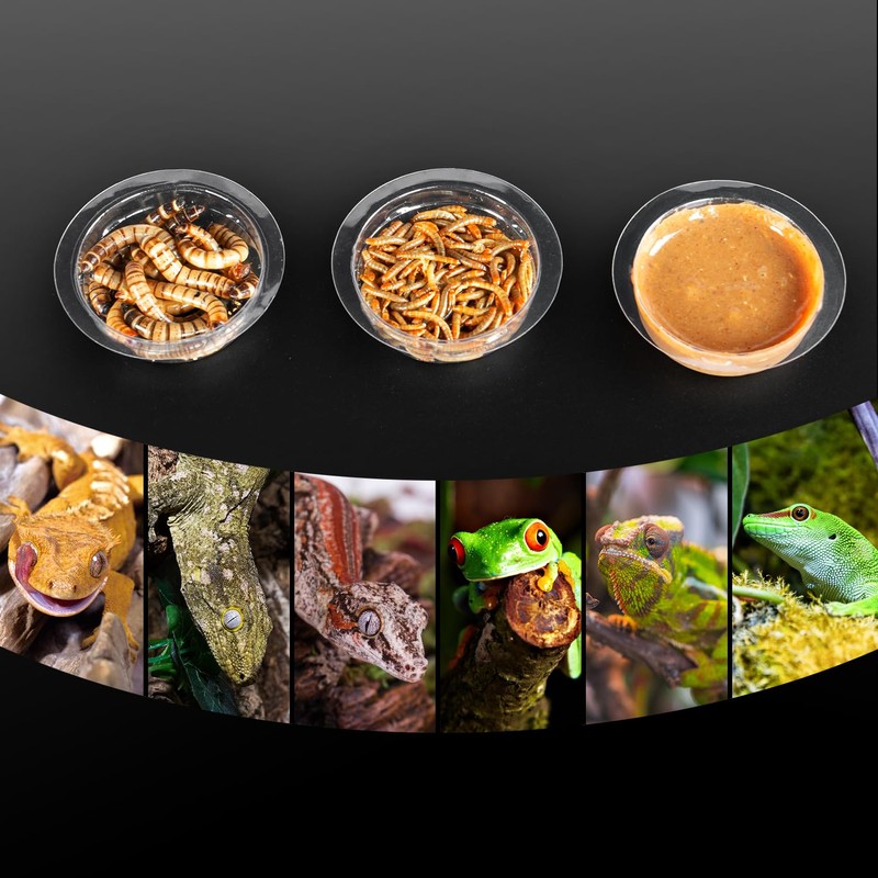 REPTIZOO 30PCS Feeding Cups for Reptile Magnetic Feeder Ledge, Replacement