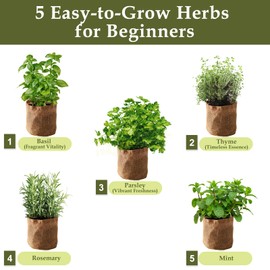 5 Herb Garden Planter Indoor with Wooden Box, Home Kitchen Seed Starter Kit Including Basil, Thyme, Parsley, Rosemary, Mint, Birthday, Mothers Day, House Warming, Gardening Gifts for Women, Mom