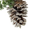 Northlight 13" Frosted Pine Cone with Mixed Foliage Christmas Ornament