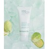Kynonix Kynonics Cabbage Calming Soothing Cream 60ml