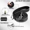 Dog Leash 6 FT, Double Sided Reflective Dog Leash with