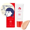 Pore Hide and Seek BB Cream (Pink Ochre) 0.9 oz