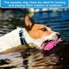 WinnerWhy 4 Pack Dog Floating Toy Teething Toys for Small