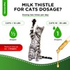 Сat Kidney Support | Milk Thistle for Cats | Herbal