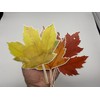 Fall Pumpkin Maple Leaf Hanging Swirls Autumn Swirls Streamers Happy