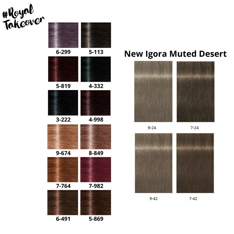 Schwarzkopf Igora Royal Hair Color Dye - 60ml Hair Colour